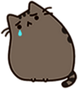 Pusheen Crying