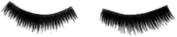 False Lower Eyelashes