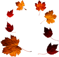 Autumn Leaves Circle