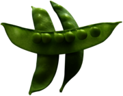 Snow Peas