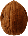 Walnut Single