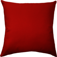 Large Red Pillow