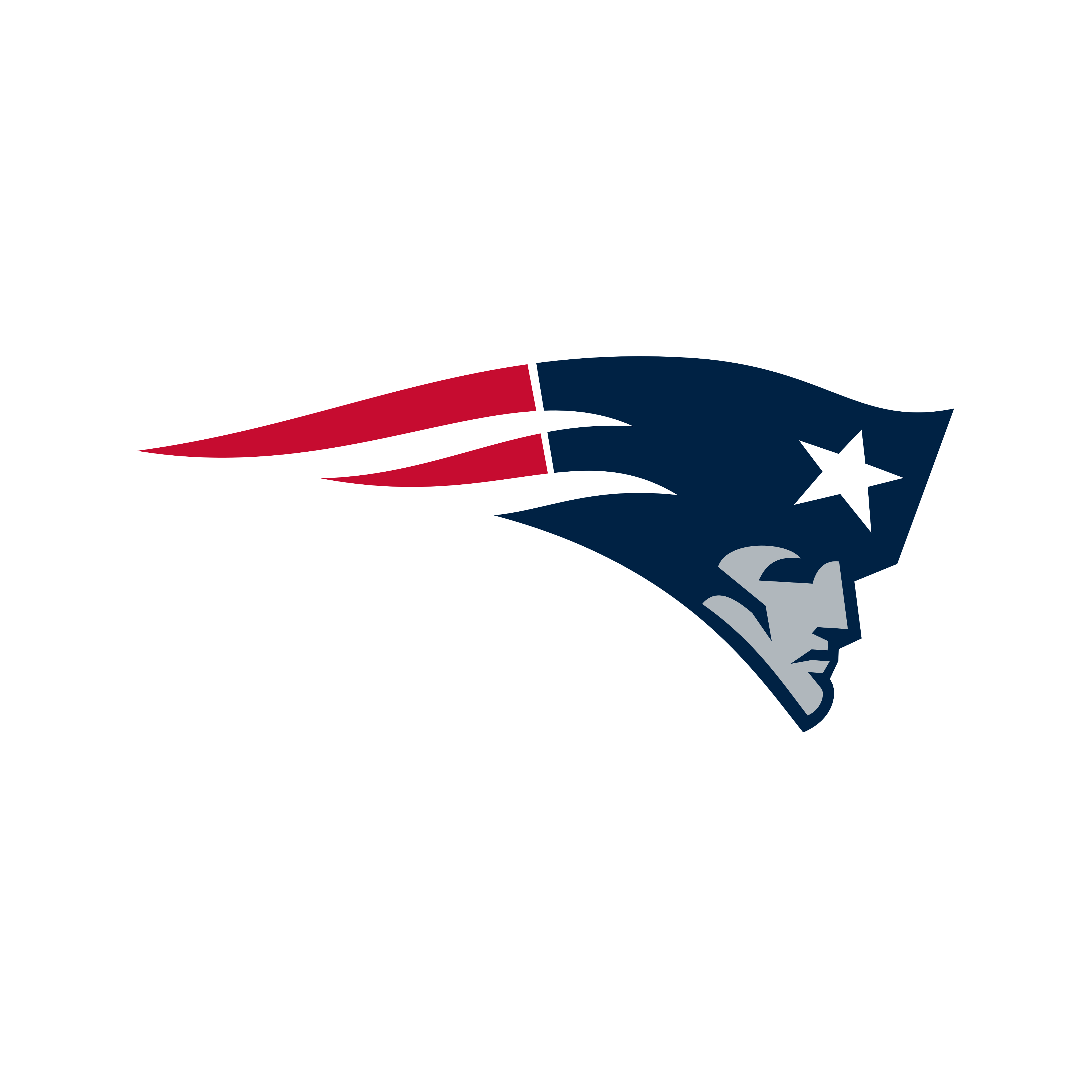 New England Patriots