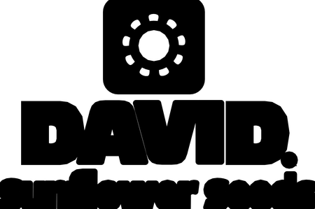 David Sunfl Seeds
