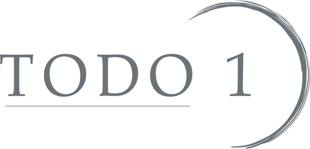 Todo 1