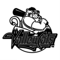 Tri City Valleycats