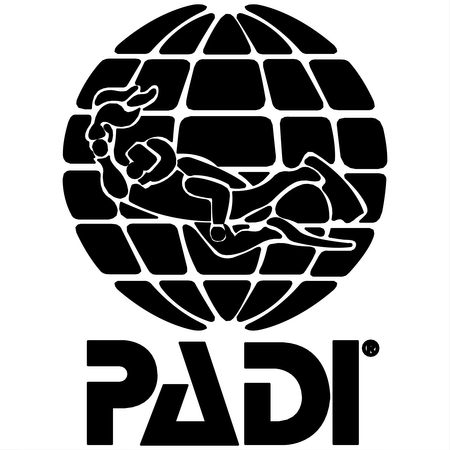 Padi