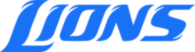 Detroit Lions Wordmark