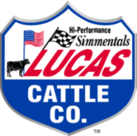 Lucas Cattle Company Light