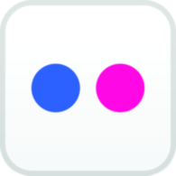 Flickr Icon
