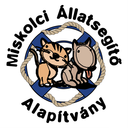 Miskolci Allatsegito Alapitvany