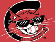 Charleston Alley Cats