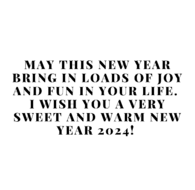 New Year 2024 Joy and Fun