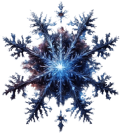 Spiral Galaxy Snowflake