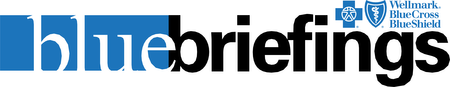 Blue Briefings