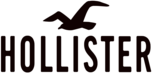 Hollister 