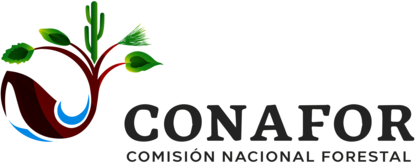 Conafor 2018-2024