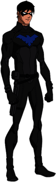Nightwing Hero