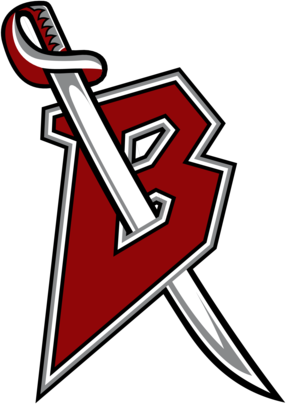 Buffalo Sabres 37557