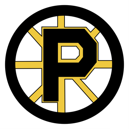 Providence Bruins