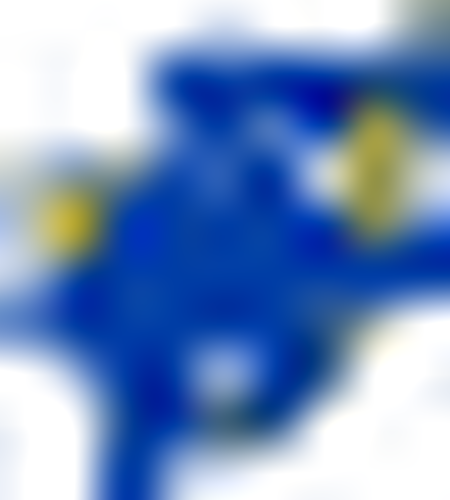 Southern Arkansas Muleriders