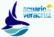 Acuario Fitness