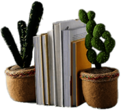 Imitation Succulent Bookends