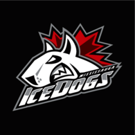 Mississauga Ice Dogs