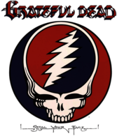 Gratefeul Dead Steal Your Face