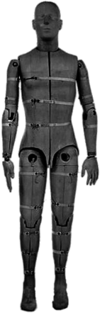 Crash Test Dummy Black and White Image