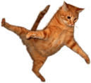 Cat Jump