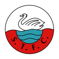 FC Swansea Town