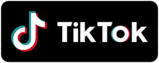 TikTok logo banner