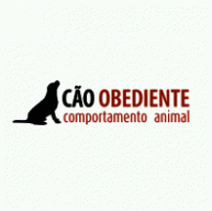 Cão Obediente - Adestramento de Cães