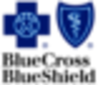 Blue Cross Blue Shield