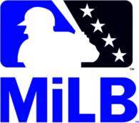 Minor League Baseball 2023-