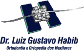 Luiz Gustavo Habib