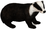 Badger Figurine