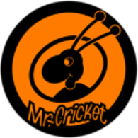 Mr. Cricket