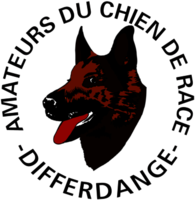 Amateurs du chien race