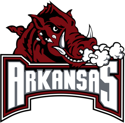 Arkansas Razorback 73905