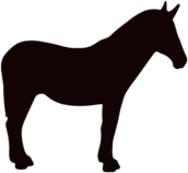 Sticker Mule logo thumbnail