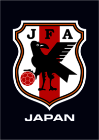 JFA (shirt badge) 2010-2011