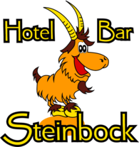 Hotel Bar Steinbock