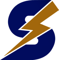 Silicon Valley Strikers Cricket Team 