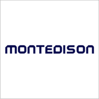 Montedison