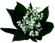 Lily of the Valley Bouquet