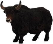 Yak Figurine