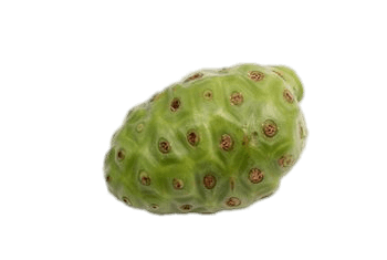 Whole Noni Fruit