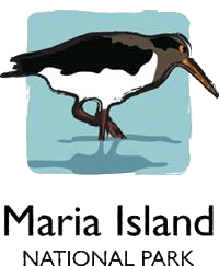 Maria Island National Park